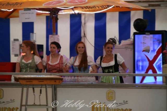 5 x 11 Jahre K. V. Wahlen