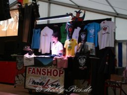 5 x 11 Jahre K. V. Wahlen