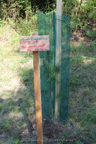 Bilder Claudy - Sammlung