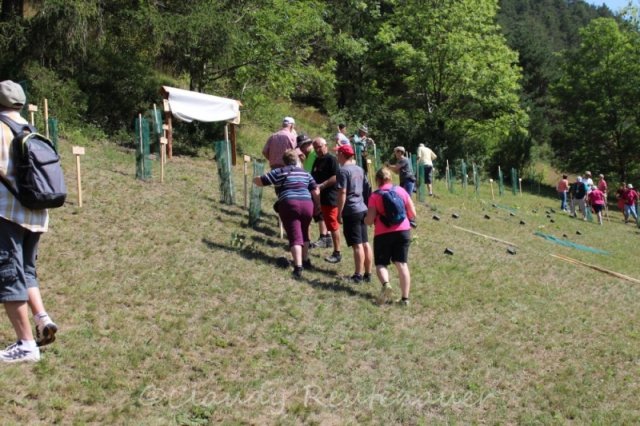 Bilder Claudy - Sammlung