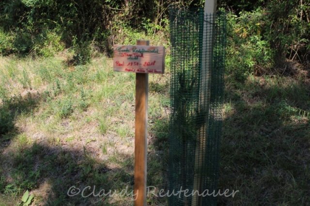 Bilder Claudy - Sammlung