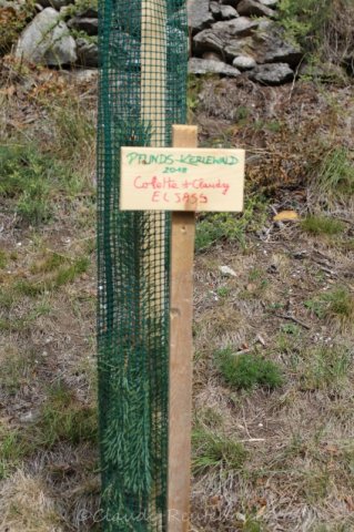 Bilder Claudy - Sammlung