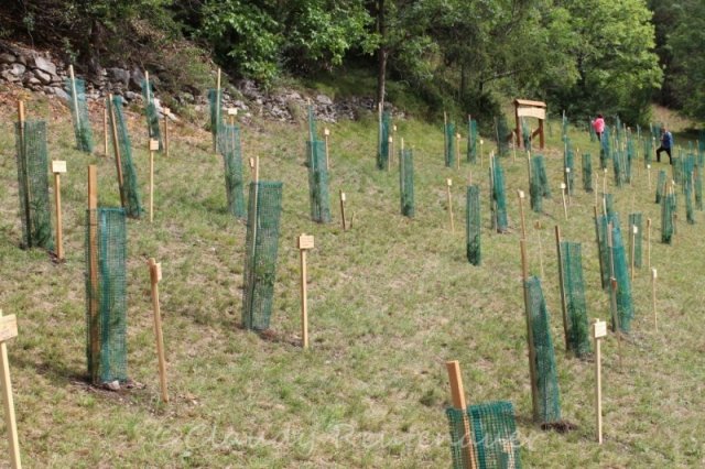 Bilder Claudy - Sammlung