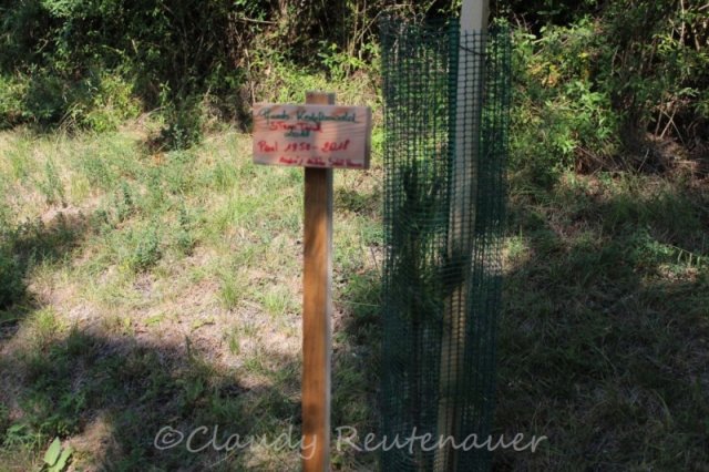 Bilder Claudy - Sammlung