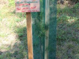 Bilder Claudy - Sammlung