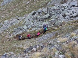 Bilder Claudy - Sammlung