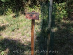 Bilder Claudy - Sammlung