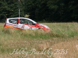 WP 04.08.2012