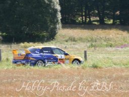 WP 04.08.2012
