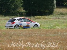 WP 04.08.2012