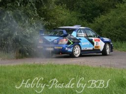 WP 04.08.2012
