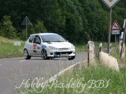WP 04.08.2012