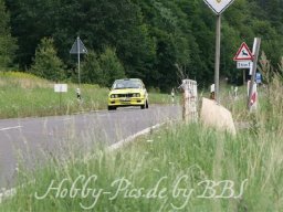 WP 04.08.2012